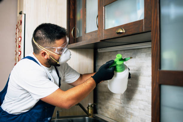 Best Affordable Pest Control Services  in Morgan Hill, PA