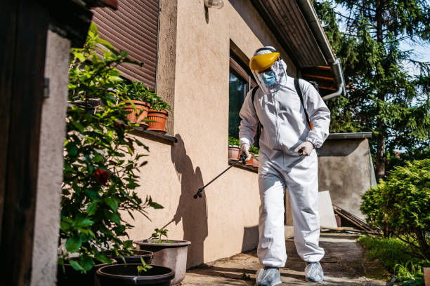 Best Best Pest Control Companies  in Morgan Hill, PA
