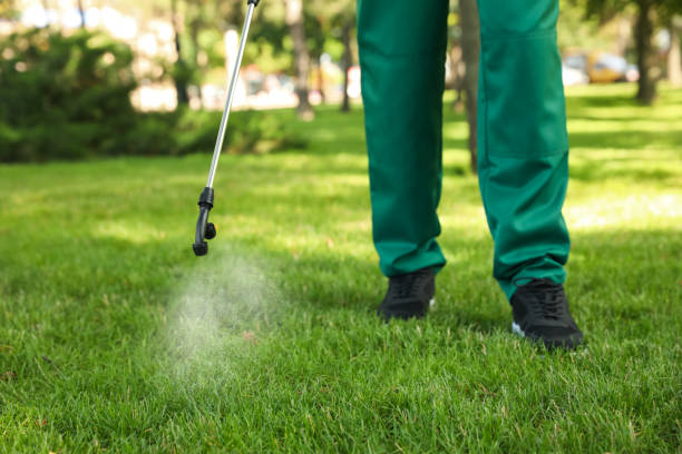 Best Residential Pest Control  in Morgan Hill, PA