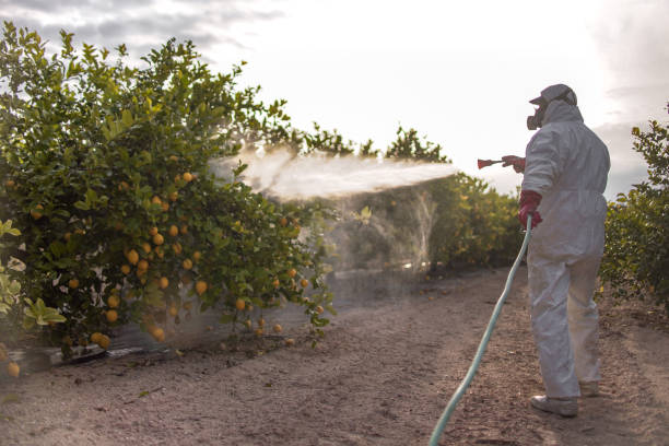Best Ant Control Services  in Morgan Hill, PA