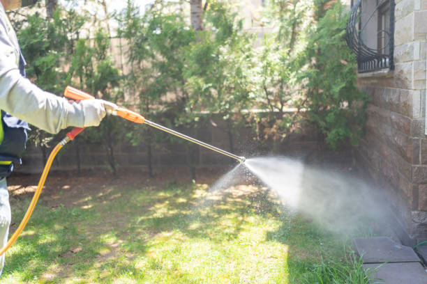 Best Spider Control Near Me  in Morgan Hill, PA