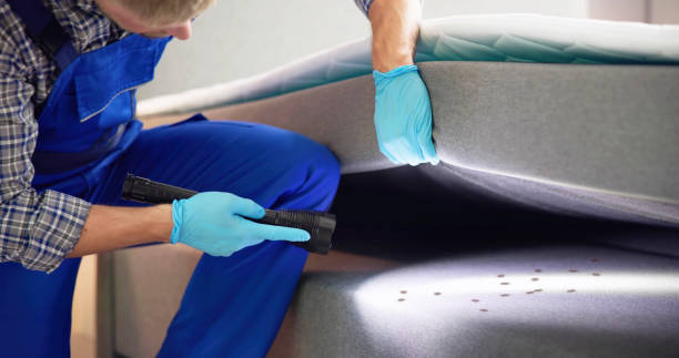 Best Emergency Pest Control  in Morgan Hill, PA